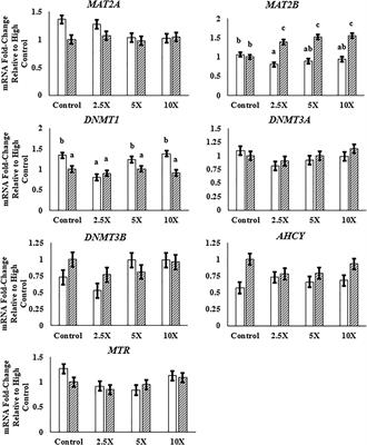 Epigenetic Modifier Supplementation Improves Mitochondrial Respiration and Growth Rates and Alters DNA Methylation of Bovine Embryonic Fibroblast Cells Cultured in Divergent Energy Supply